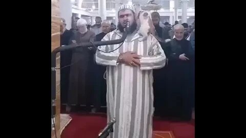 Watch : CAT Jumps On IMAM During Prayer! #shorts #cat #islam #viral #ramdan