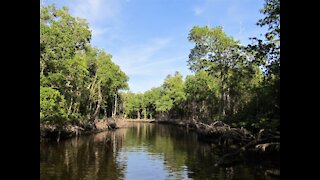 Journey through the Everglades