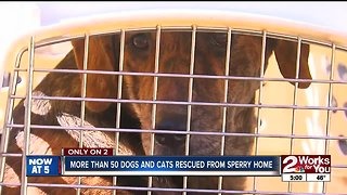 Dozens of dogs rescued from home in Spavinaw