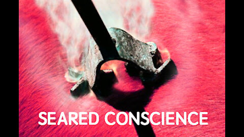 What is a Seared Conscience?