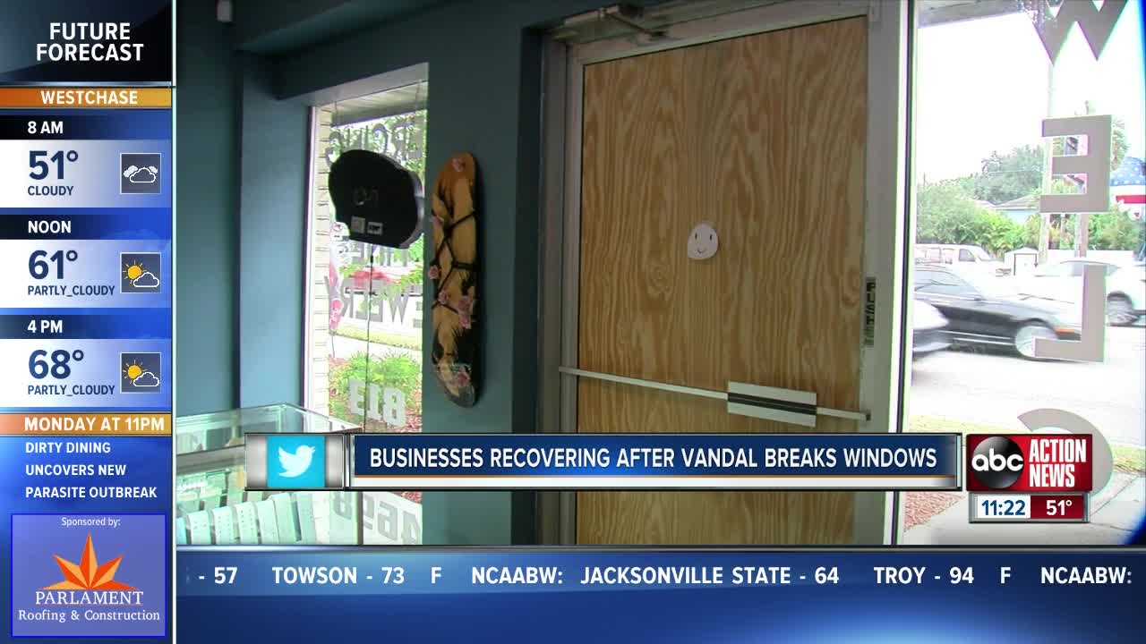 Businesses vandalized in South Tampa