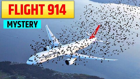 Flight 914 mystery Explained part 3 #flight #flightstory