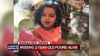 2-year-old girl missing in northern Michigan found alive