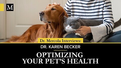 Optimizing Your Pet's Health - Interview with Dr. Karen Becker