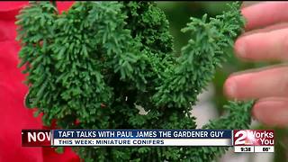 In The Garden with Paul James