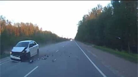 Moose hit by car in shocking collision on Russian road