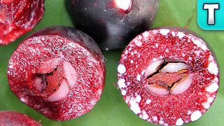 This Fruit has LATEX in it!? | Fruits You're Never Heard Of | Karonda