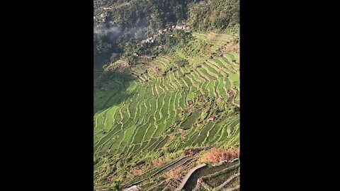 Banaue rice terraces