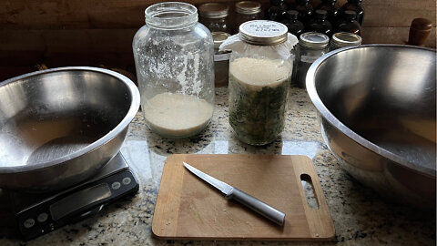 Making Fermented Plant Juice- Part 2