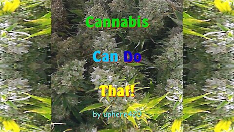Cannabis Can Do That