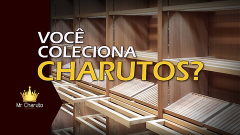 Mr. Charuto - Voce Coleciona Charutos?