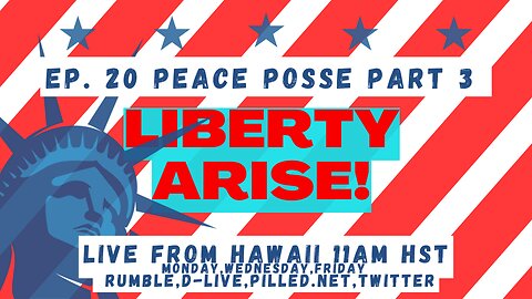 Notice of Demand for a Full Forensic Audit in Hawaii, Peace Posse 3