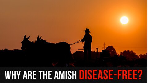 Why Amish Children Don't Get Autism, Down Syndrome, Diabetes, Crohn's Disease or Obesity