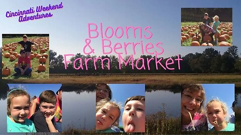 Blooms and Berries Farm Market