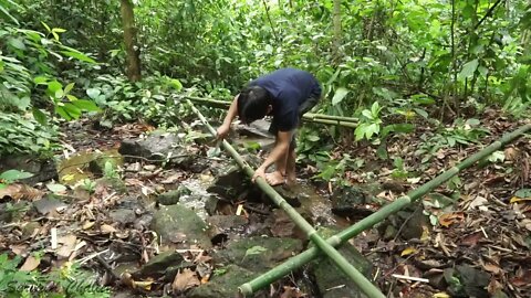 Taking Water From Stream To Bamboo ..Survival Primitive technology 2022 Building technology