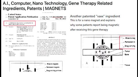 Part 4/4 - Whats Really in the Vaccine? Karen Kingston reveals US PATENTS