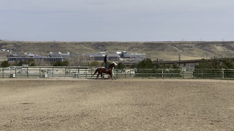 Belle is getting some speed!