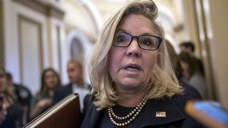 Liz Cheney Meltdown - She Has Gone Insane