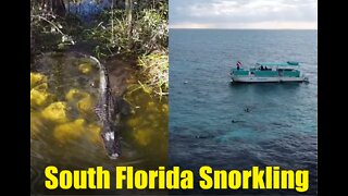 South Florida and Florida Keys Trip Winter 2021