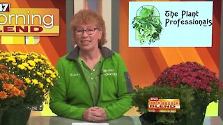 The Plant Professionals- 9/15/21