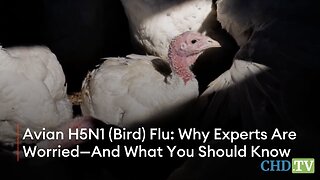 Bird Flu & Pandemic Scaremongering