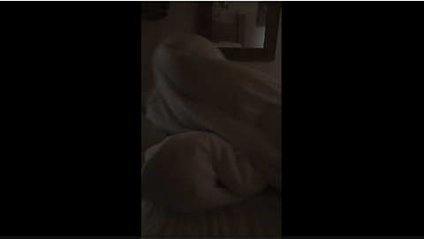 Clumsy dog underneath blanket twirls completely off bed