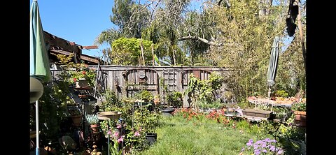 bonus #1 A quick look at my Northern California Garden during the partial Solar Eclipse