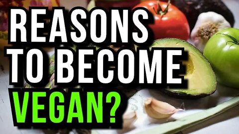 Why Become A Vegan In 2022? 7 Compelling Reasons You Can't Deny