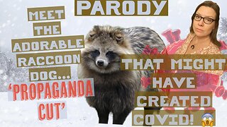 Explaining the Raccoon Dogs Origin Story