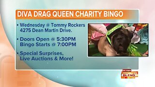 DIVA Drag Queen Charity Bingo