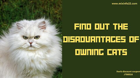 Disadvantages of Cat Ownership #mix #cats #breedingcats