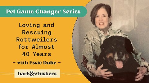Loving and Rescuing Rottweilers for Almost 40 Years With Essie Dube
