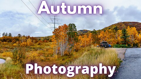 Autumn Landscape Photography Steamboat Springs: #sony #a7iii #a6100, #Nikon D5300 #google Pixel 4a