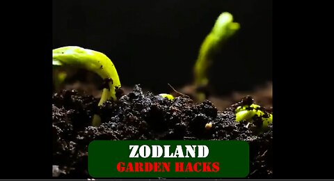 ►🚨▶◾️🌷🌳🍎🌲🍏 Zodland Garden Hacks 🌷🌳🍎🌲🍏
