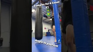 Jab Cross Hook Right Kick Heavy Bag Muay Thai