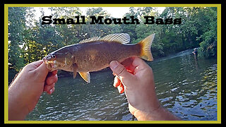 Catching Small Mouth Bass on In-Line Spinners