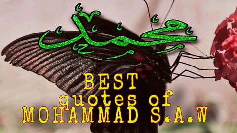 Quotes 50 by Mohammad S.A.W | best new quote English| Islamic quotes| heart touching quotes