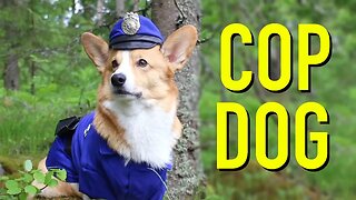 IF DOGS WERE COPS