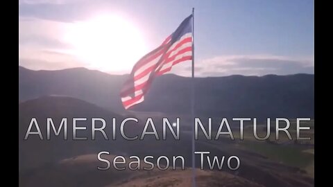 AMERICAN NATURE IS BACK!!!