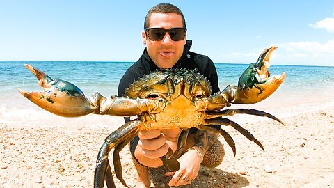 How to catch monster mud crabs