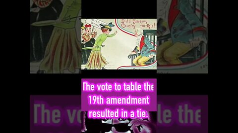 Fact #20: Mother Makes Son Vote for 19th Amendment