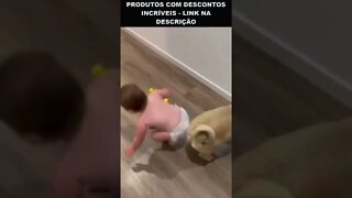 bebê trolando o cachorro