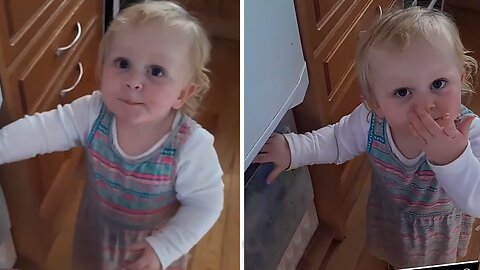 Toddler Gets Caught Stealing Ice Cream, Quickly Learns To Say 'Please'