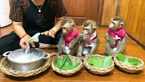 Baby Monkey | Obedient Kako And Luna Sit Waiting Eat Soup