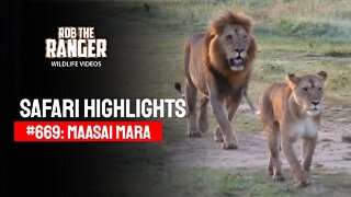 Safari Highlights #669: 03 & 04 March 2022 | Maasai Mara/Zebra Plains | Latest Wildlife Sightings