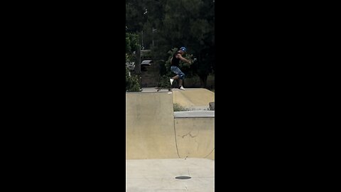 Meadowbank skatepark