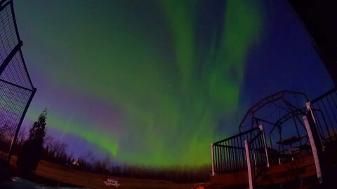 Aurora Borealis Northern Lights | #Shorts