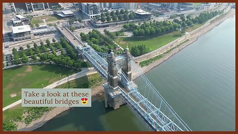 Bridges Soar like an eagle over the Ohio River! 🦅