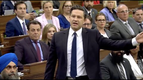 Pierre Poilievre on the Trudeau Liberals and the drug crisis: "What the hell are they thinking over there?"