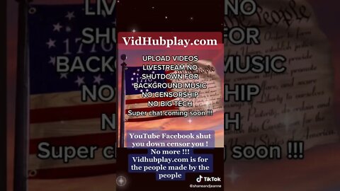 Vidhubplay.com Ad